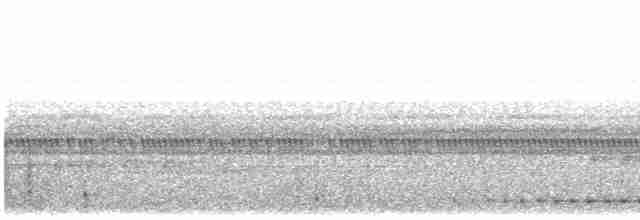 výreček roraimský [skupina napensis] - ML613210798