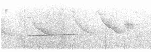 Мурашниця гуануцька - ML613211368