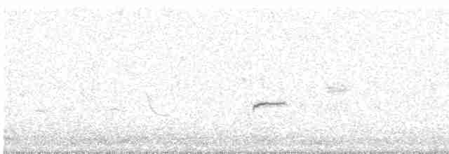 Iberian Gray Shrike - ML613212188