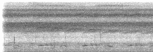 Глазчатая чачалака (guttata/subaffinis) - ML613212493