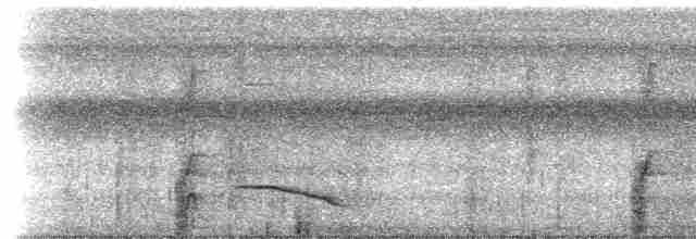 Paují Culiblanco - ML613212520