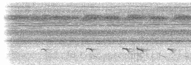 White-flanked Antwren (White-flanked) - ML613212545
