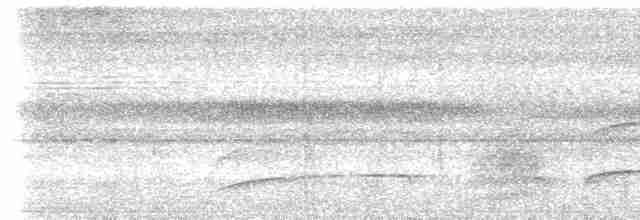 leskovec hvízdavý - ML613212588