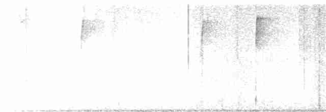 Золотомушка світлоброва - ML613212713