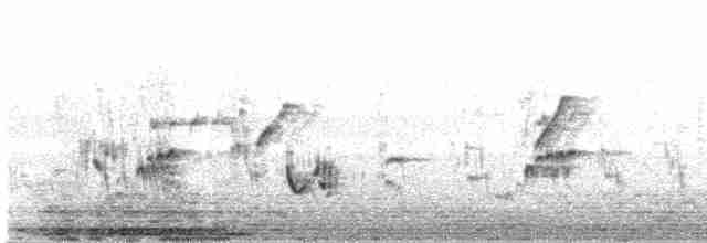 Rufous-tailed Lark - ML613212808