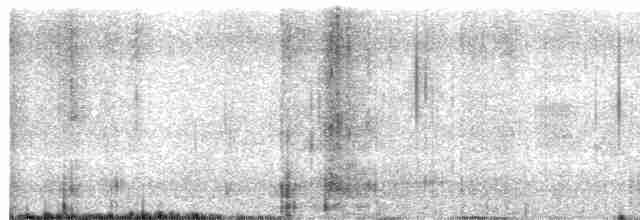 白喉文鳥 - ML613213791