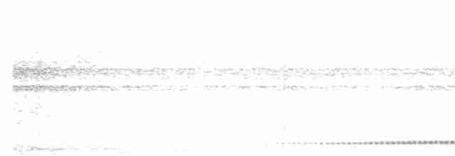Mérulaxe à poitrine blanche - ML613215681
