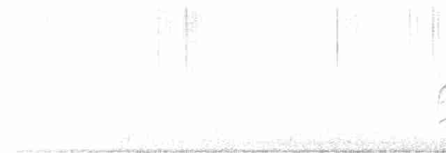 Sarı Karınlı Sinekkapan - ML613215930