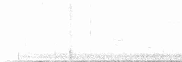 Royal Tern - ML613215951
