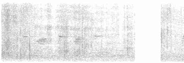 Зяблик звичайний - ML613216907