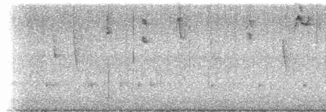 Percefleur noir - ML613217828
