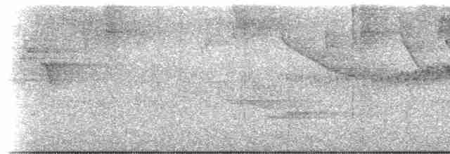 Three-striped Warbler (daedalus) - ML613218262