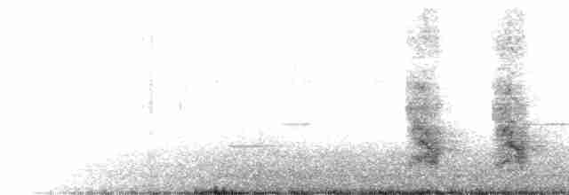chřástal virginský (ssp. limicola/friedmanni) - ML613218837