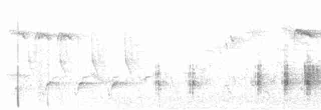 Great Reed Warbler - ML613222966