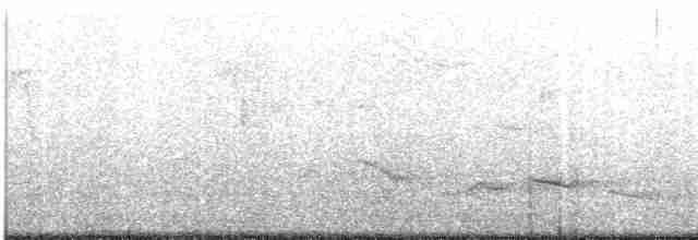 Black-crowned Tchagra - ML613223463
