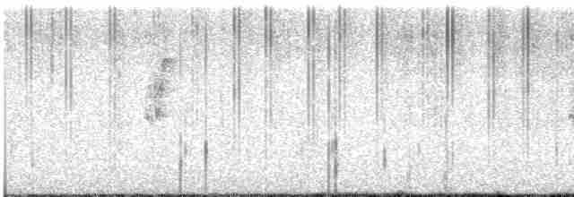 Batı Amerika Sinekkapanı (occidentalis/hellmayri) - ML613225582