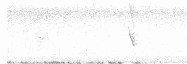 Волнистый астрильд - ML613227473