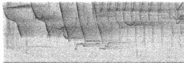 gullkronekjerrspurv (crassus) - ML613228278