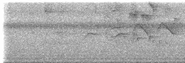 gullkronekjerrspurv (crassus) - ML613228314