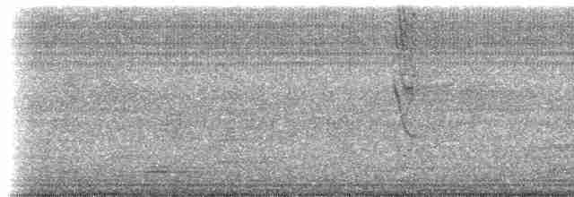 Blue-gray Tanager (White-edged) - ML613228822