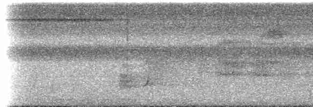 Манакін-стрибун карликовий - ML613229612