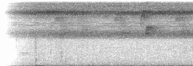 Большеклювый колибри-отшельник [группа moorei] - ML613234668
