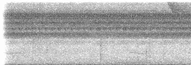 Cinereous Antshrike - ML613234884