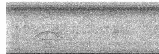 Black-billed Thrush (Amazonian) - ML613234971