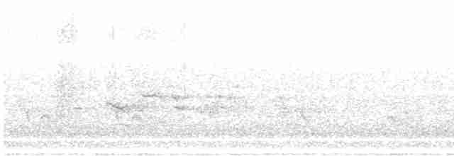 Дрізд-короткодзьоб плямистоволий - ML613238495