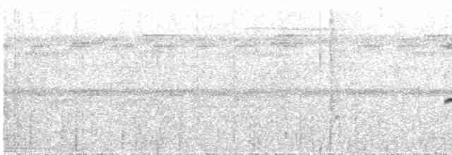 Rotschwanz-Ameisenvogel - ML613240528