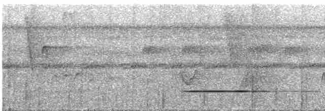 Cinereous Tinamou - ML613240624