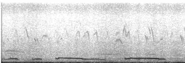 hrdlička kropenatá - ML613243052