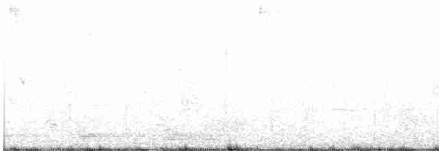 Amazilia Hummingbird - ML613247303