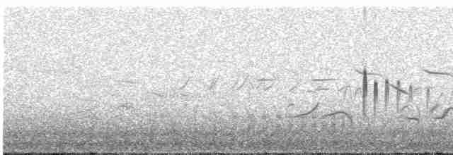 Plectrophane de Smith - ML613251629