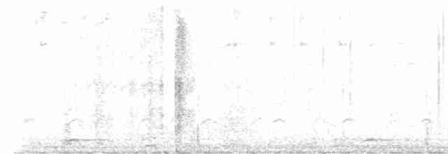 svartkronestylteløper - ML613255368