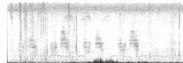 白胸燕鵙 - ML613261300