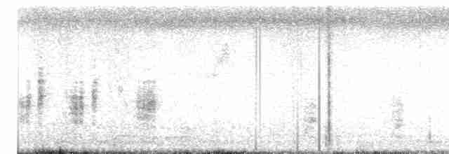 白胸燕鵙 - ML613261301