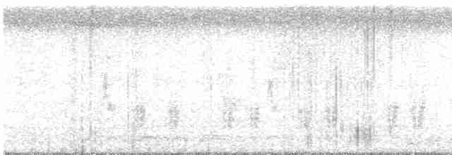 白胸燕鵙 - ML613261302