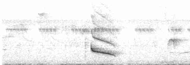 Серогрудая эления - ML613262702