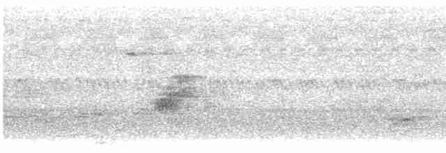 Savannennachtschwalbe [monticolus-Gruppe] - ML613262819