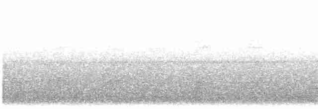 Corcovado de Pasco (forma no descrita) - ML613263016