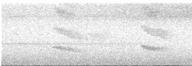 Güneyli Kestanerengi Karıncakuşu - ML613263355