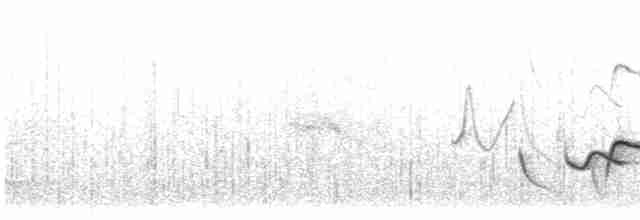 Поплітник рудоспинний (неописана форма) - ML613263373