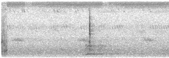 Blyth's Reed Warbler - ML613264601