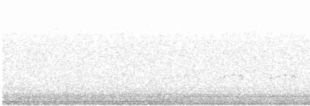 Травяная сипуха - ML613264709