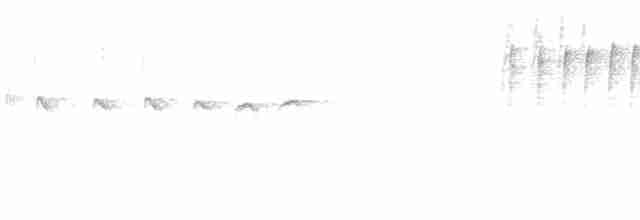 Гульдова нектарница (dabryii) - ML613264825