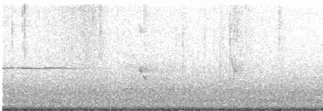 Серый шелкохвост - ML613268267