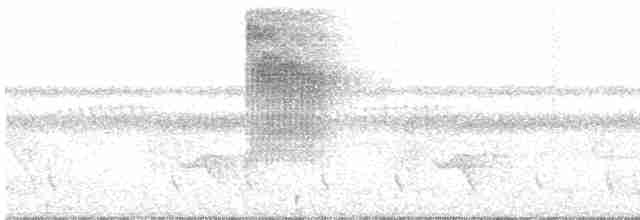 Güneyli Kara Yüzlü Kocabaş - ML613270273