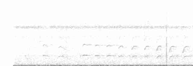 kremstrupetreløper (guttatoides/dorbignyanus) (pantreløper) - ML613270346