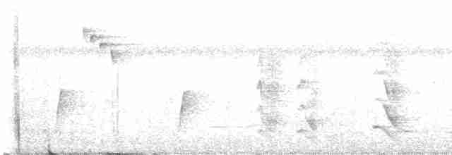 Turuncu Gagalı Yedikardeş - ML613270866
